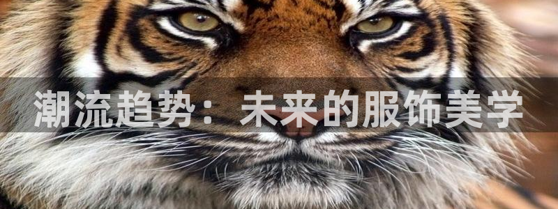 星欧娱乐下载官网