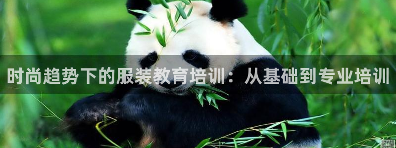 星欧娱乐法最新进展