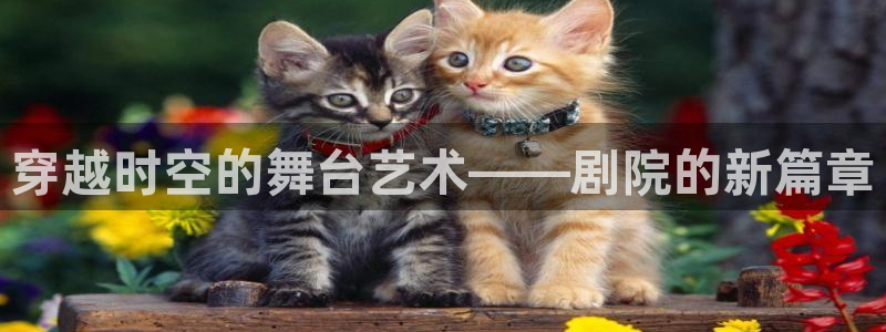 星欧娱乐文化无锡