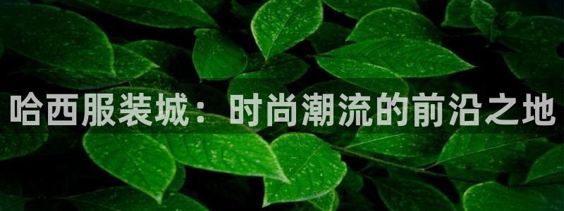 星饭娱乐欧豪