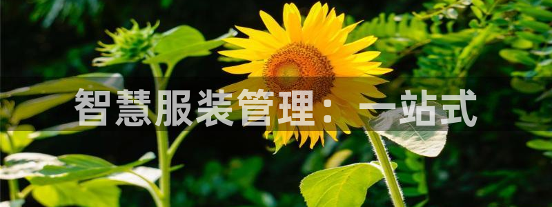 星欧娱乐公司电话号码