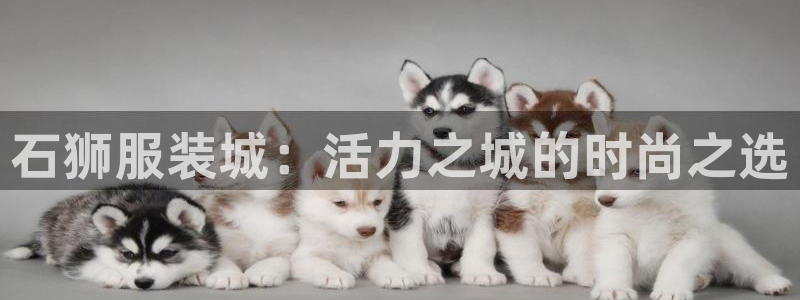 欧星娱乐竞技