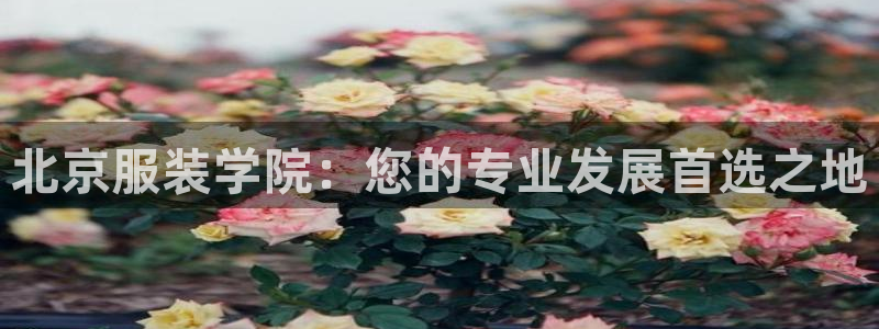 欧星娱乐08