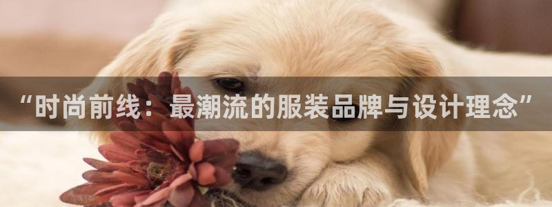 欧星娱乐app