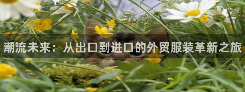 星欧娱乐登录注册