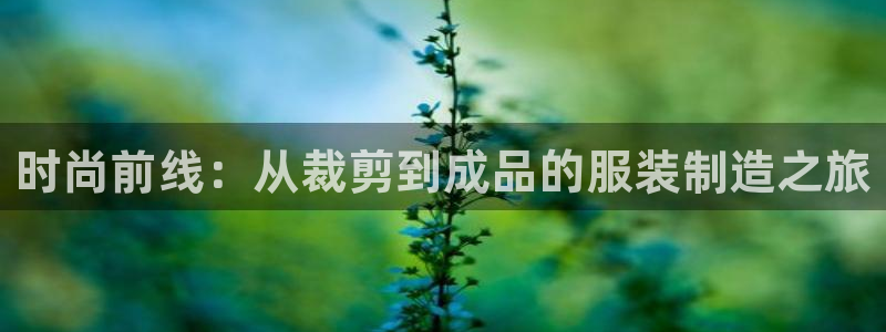 星欧娱乐主管招商中
