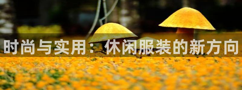 欧豪娱乐星天地采访