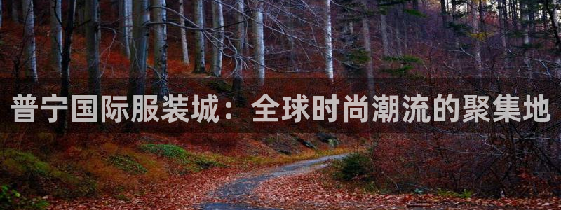 星欧娱乐开户
