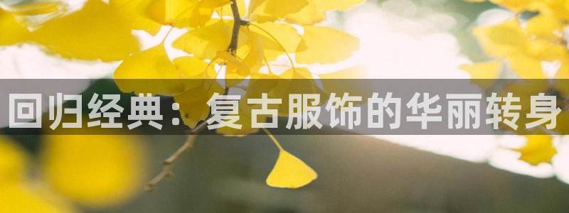 星饭娱乐欧豪