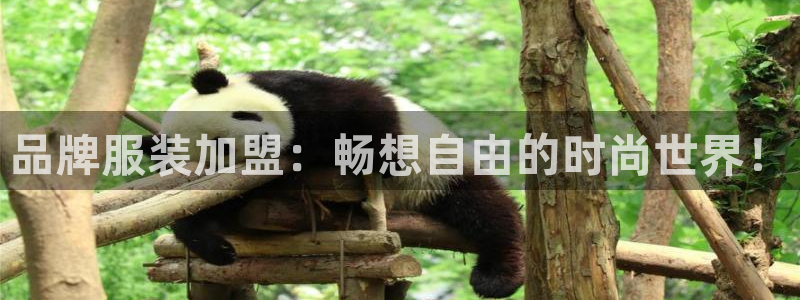 星欧娱乐平台是否安全