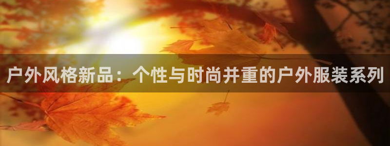 星欧娱乐官网入口手机版