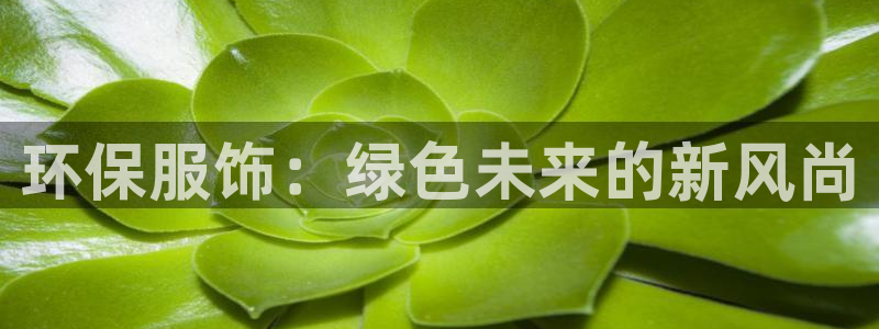 星欧娱乐app下载安装