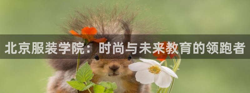 星欧娱乐怎么注册