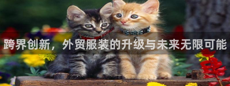 星欧娱乐最新动态消息