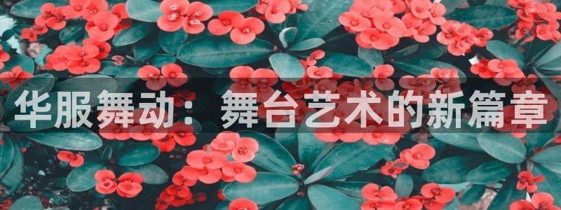 热星娱乐欧豪是谁