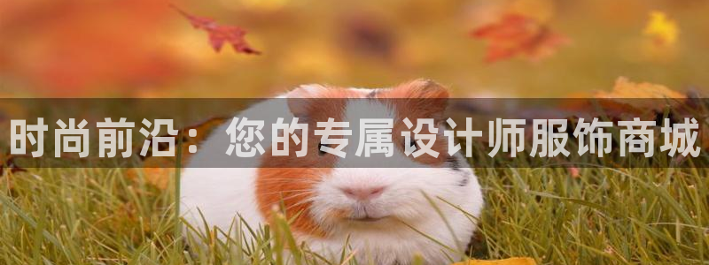 星欧娱乐的官方网站