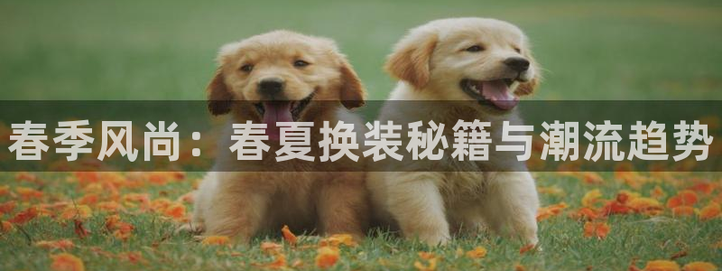 星欧娱乐怎么注册