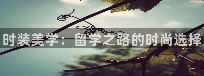 星欧娱乐平台注册入口