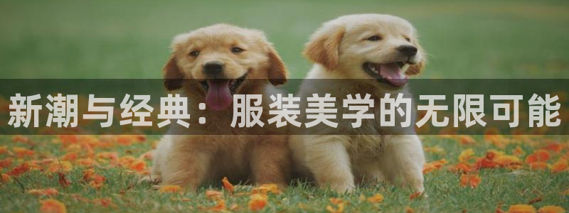 匠星娱乐欧尼老师