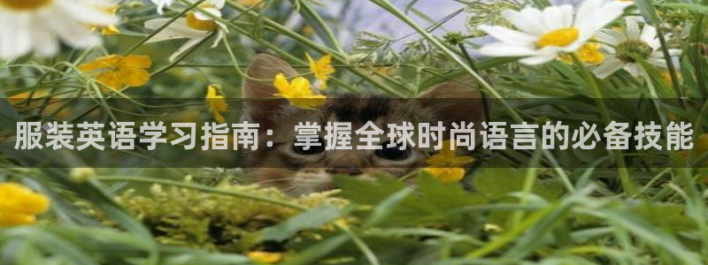 星欧娱乐招商非7O777