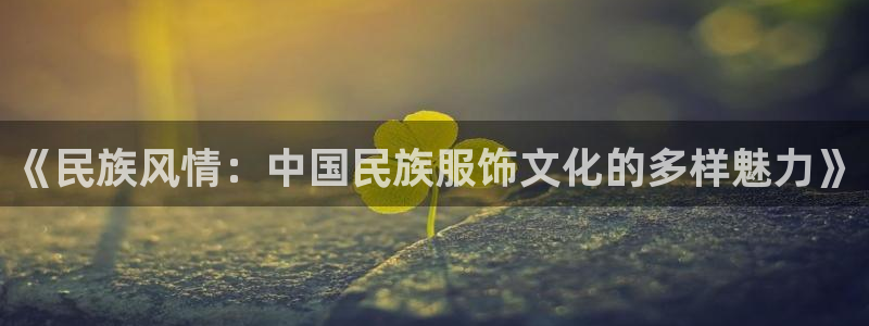 星辉娱乐进入欧联杯了吗