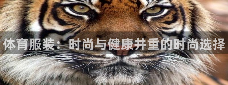 星欧娱乐登录后怎么登录