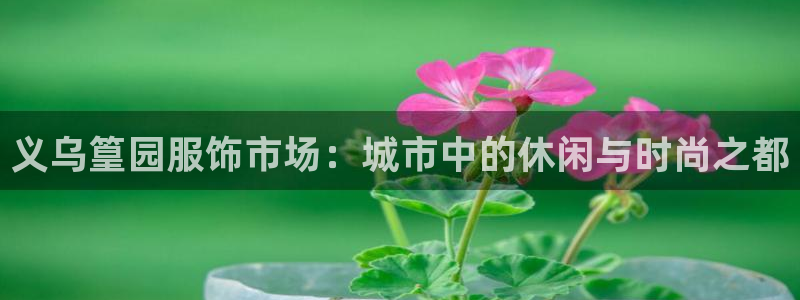 星娱乐online欧弟