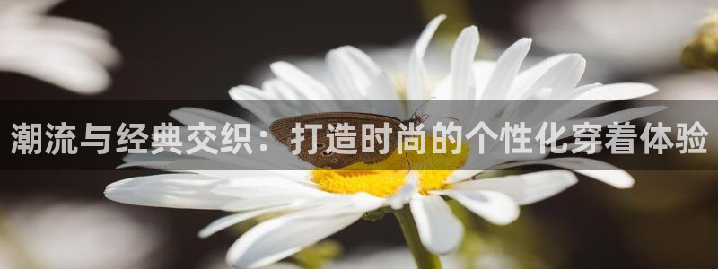 星欧娱乐注册官网