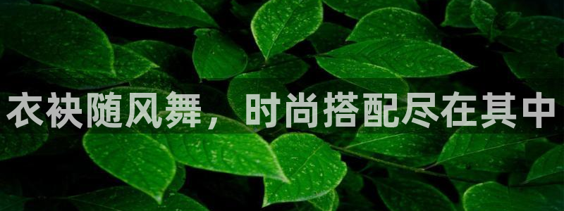 星欧娱乐公司电话号码