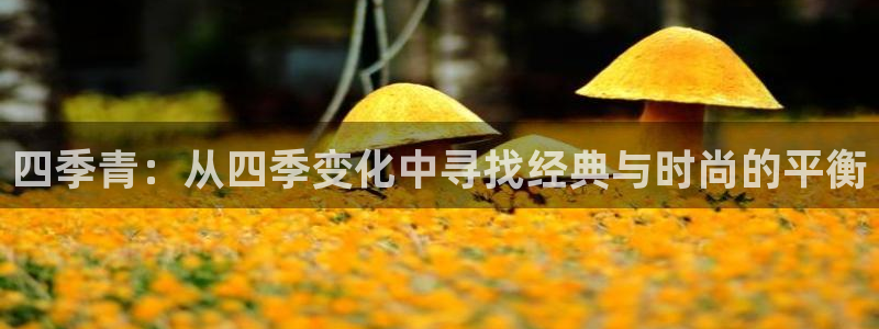 星欧娱乐还能玩吗