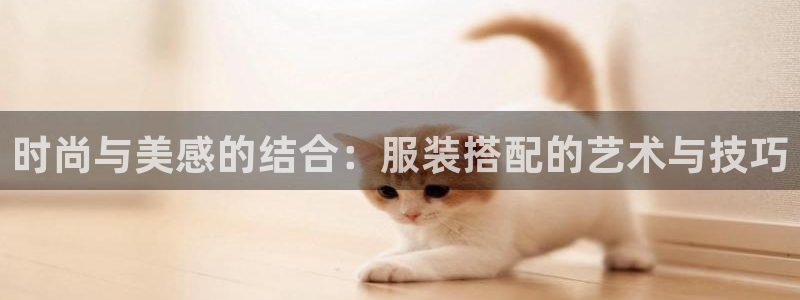 星欧娱乐是什么平台：时尚与美感的结合：服