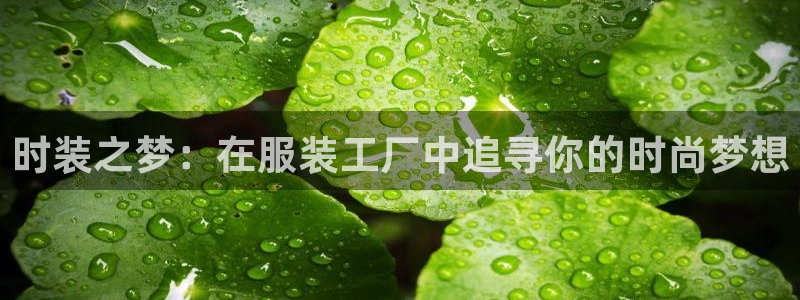 欧亿2娱乐诗星22650j