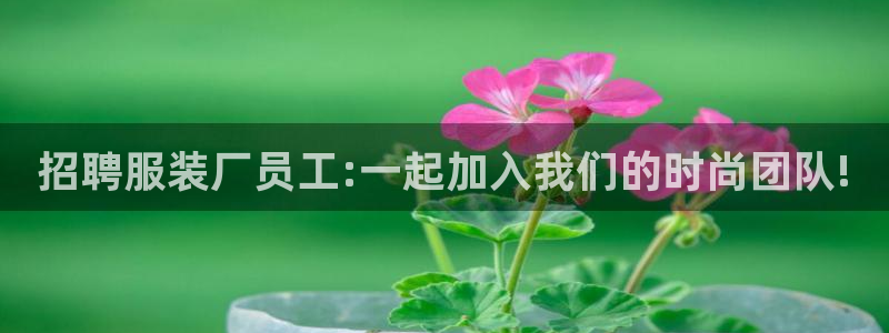 星欧娱乐注册要多少钱：招聘服装厂员工:一