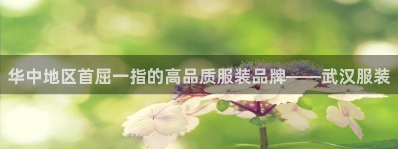 星欧娱乐注册资金多少