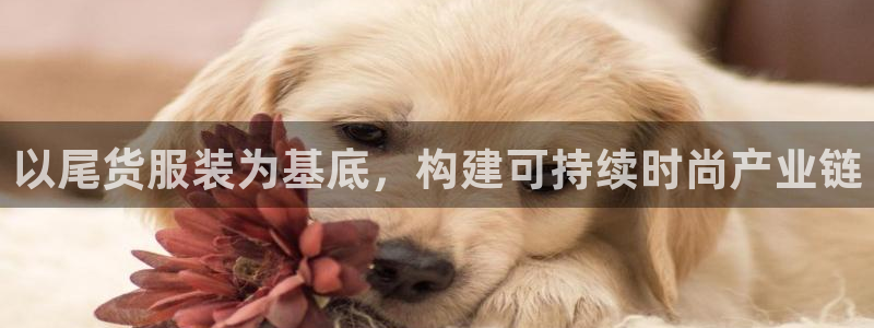 娱乐星扒客欧豪