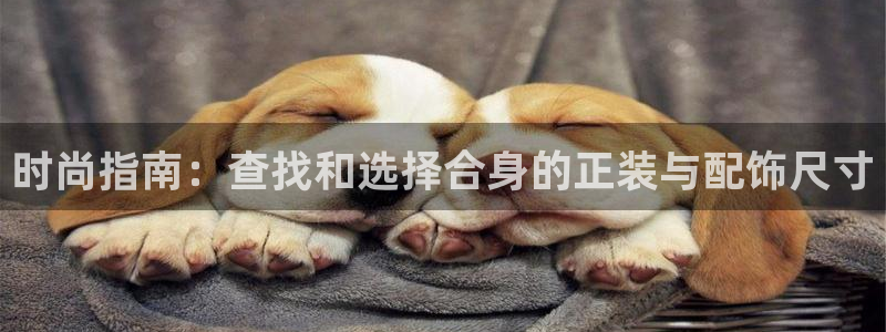 星欧娱乐官方网页版入口
