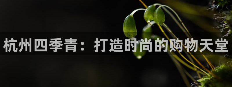 星欧娱乐官方客服：杭州四季青：打造时尚的