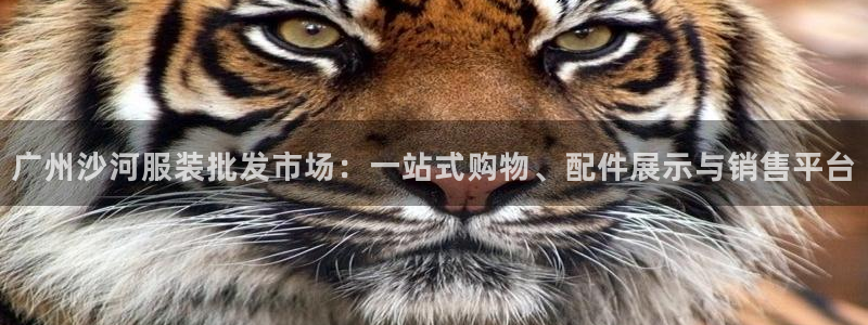 星欧娱乐是正规平台吗