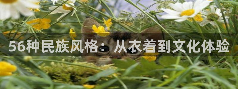 欧星娱乐彩票去