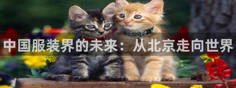 星欧娱乐现在叫什么