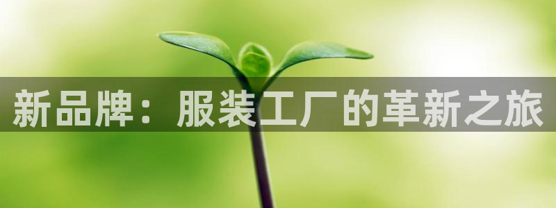星欧娱乐游戏：新品牌：服装工厂的革新之旅