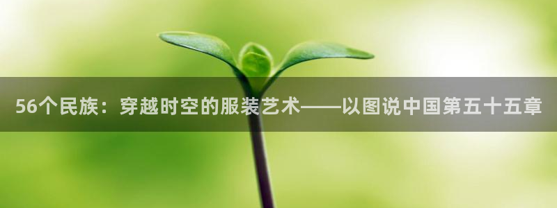 星欧娱乐的安装方法及注意事项：56个民族