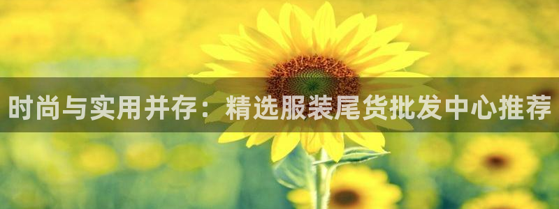 星欧娱乐官方网站：时尚与实用并存：精选服